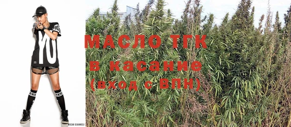 мдпв Новозыбков