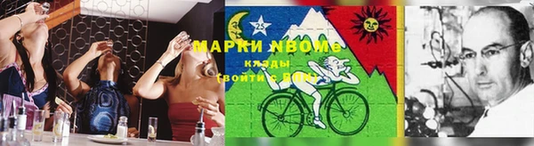 мдпв Новозыбков