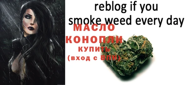 мдпв Новозыбков
