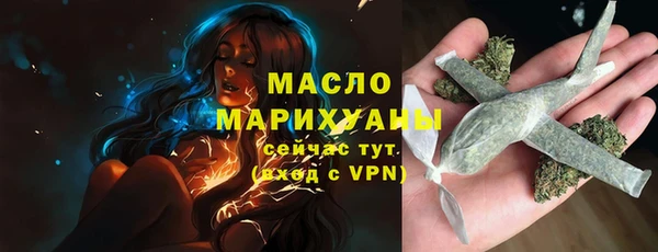 мдпв Новозыбков