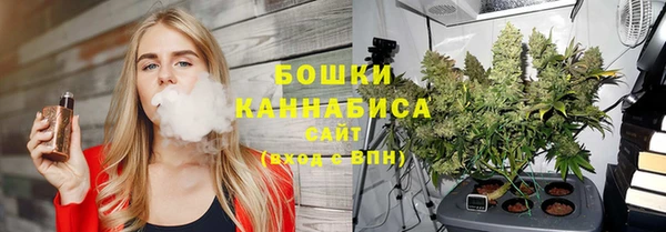 эйфоретик Новодвинск