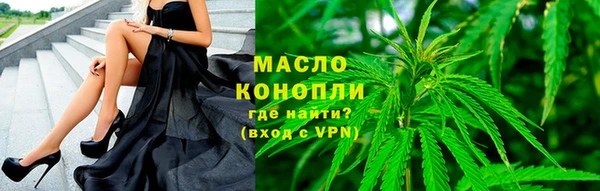 мдпв Новозыбков