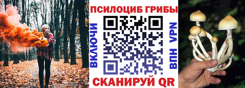 Купить где  Пыталово  Псилоцибиновые грибы MAGIC MUSHROOMS 